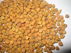 Chick Peas